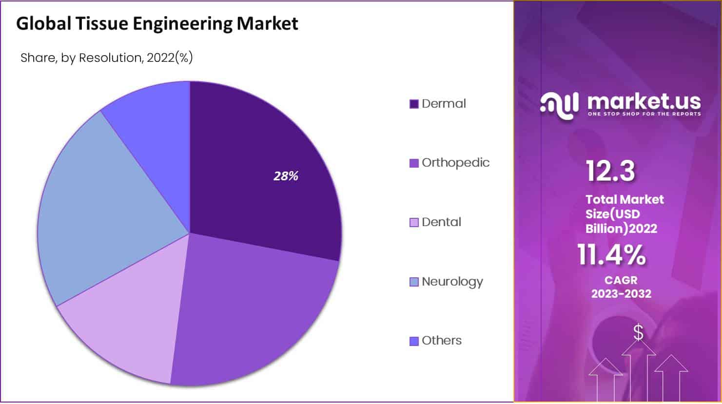 Tissue Engineering Market