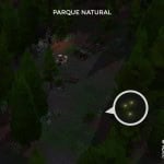 Colección Insectos: Dónde encontrar la Luciernaga