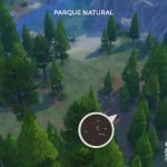 Colección Insectos: Dónde encontrar la Termita