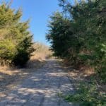 Chaparral Trail, Farmersville, Hiking