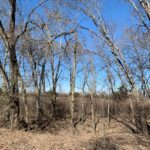 Farmersville, hiking, Chaparral Trail