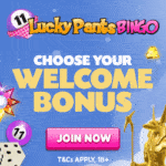 Lucky Pants Bingo Casino banner 250×250