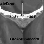 chakras-gonadas