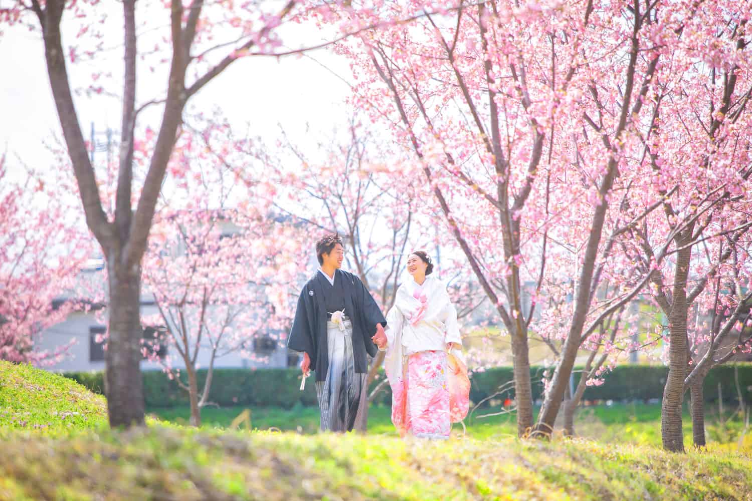 フォトウェディング　群馬　桜