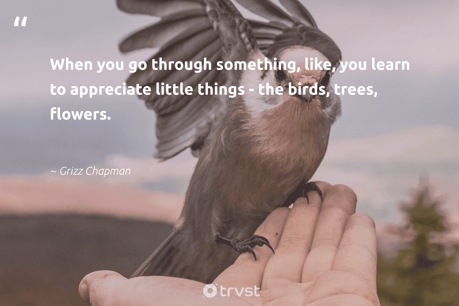 110 Bird Quotes And Sayings About Birds To Inspire Motivate