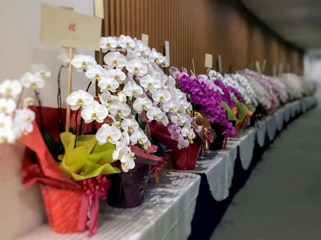 どんな名刺、封筒、パンフレットが良いのか