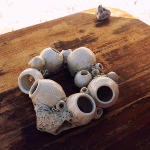 Domeček do terária