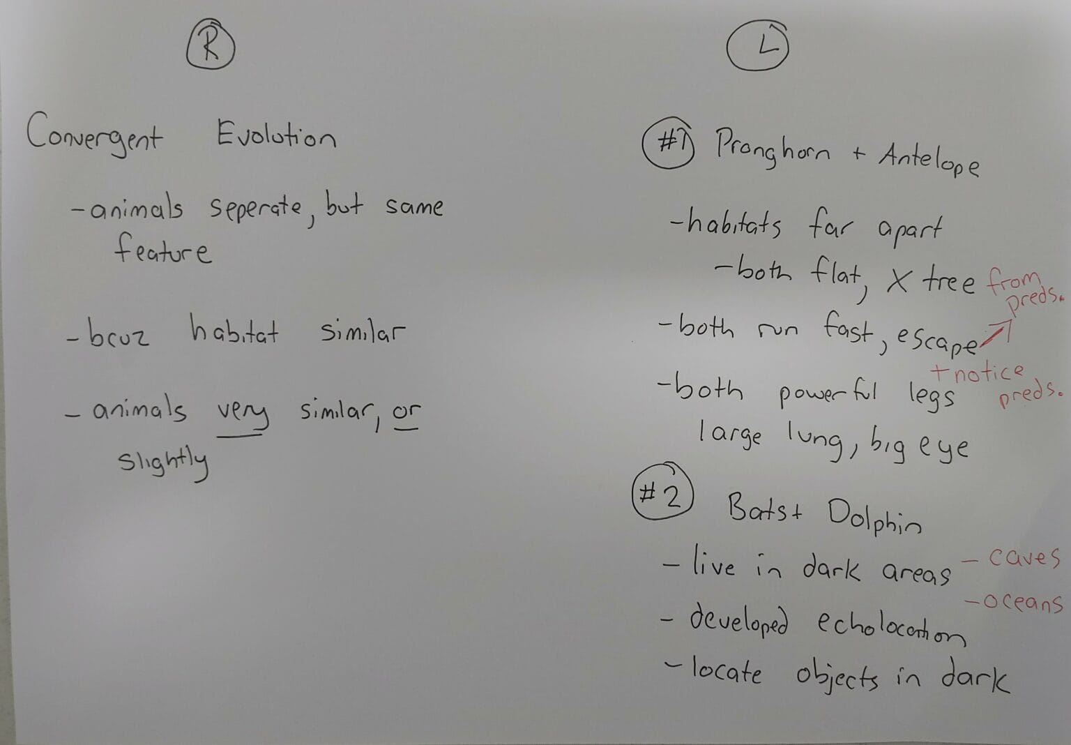 Example Note 3