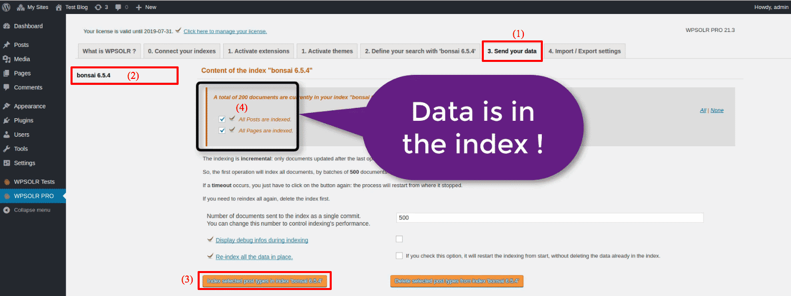 Bonsai Elasticsearch: new index is indexed