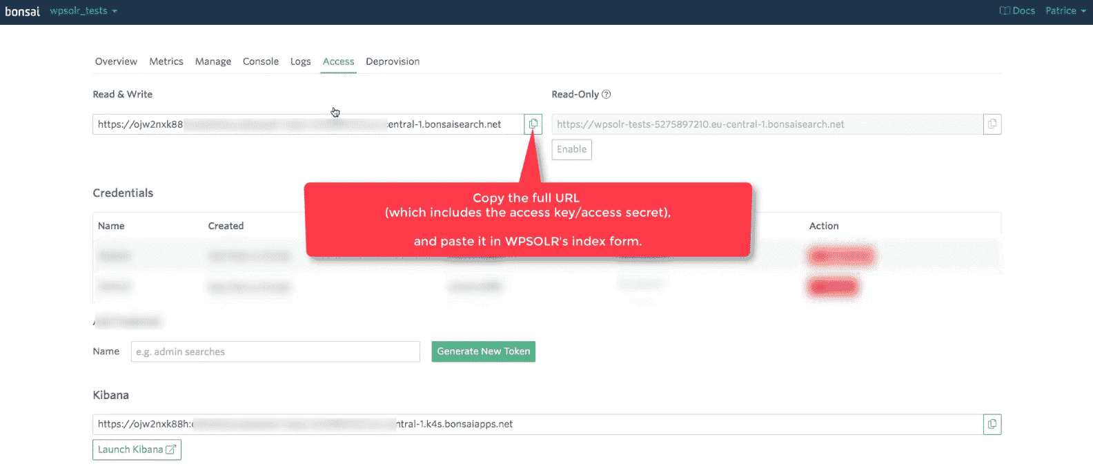 Bonsai Elasticsearch: new cluster copy default endpoint