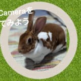 LINE Cameraを使ってみよう