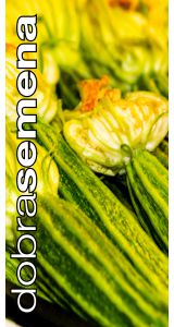 Kabatšokk "Costata Romanesco"