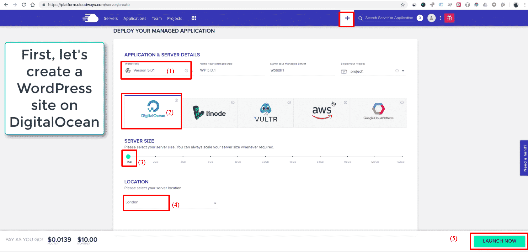 Cloudways WordPress: new application