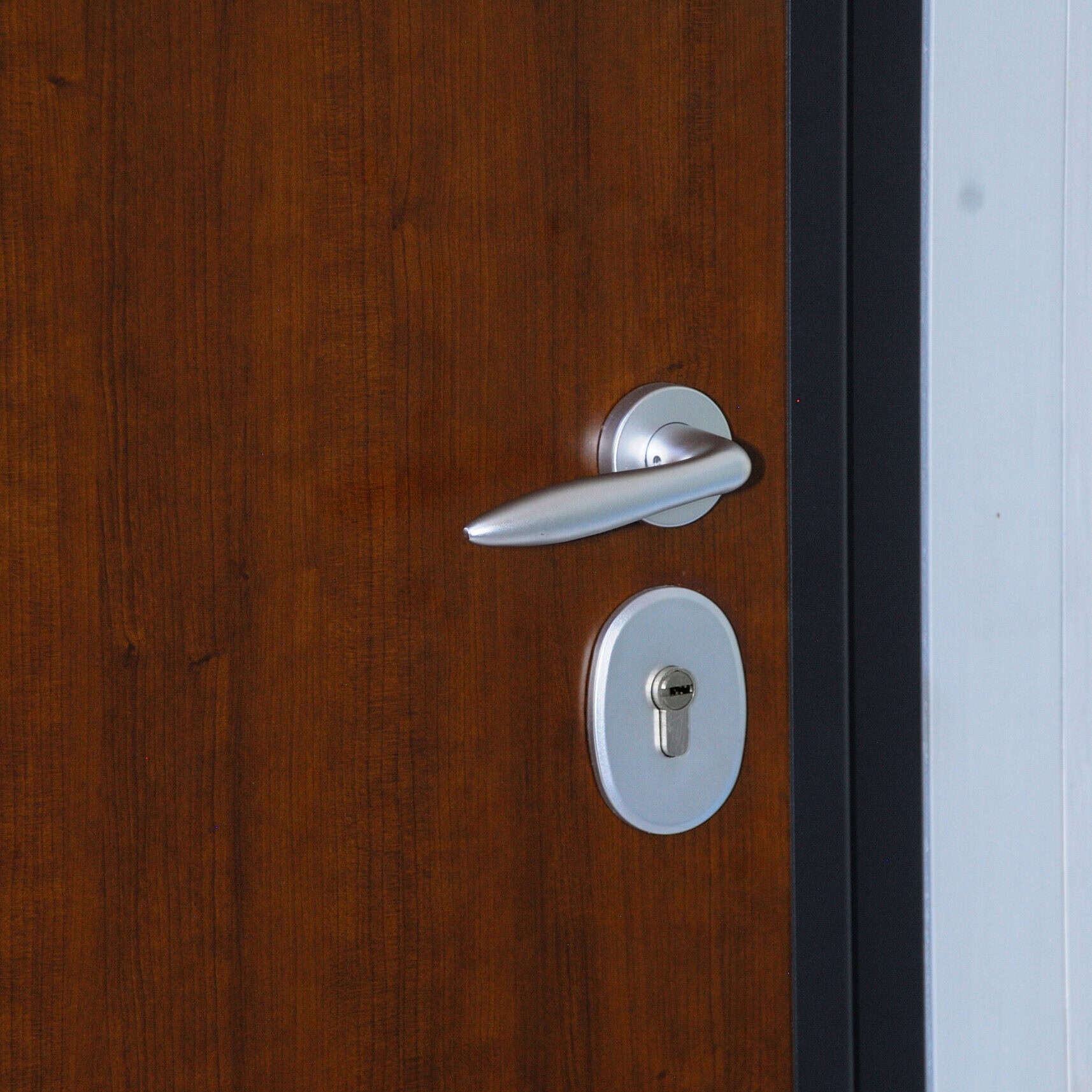 Blindato lato interno (5)