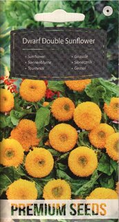 Harilik päevalill "Dwarf Double"