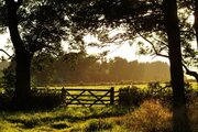 Farm