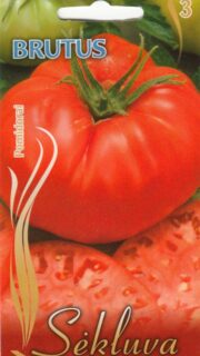 Tomat "Brutus"