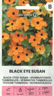 Tiivuline tunbergia "Black Eye Susan"