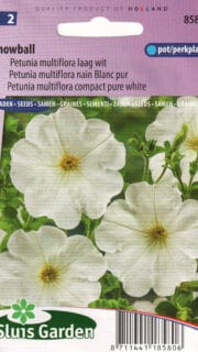 Petuunia "Snowball"