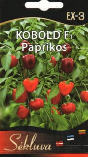 Paprika "Patio Red"