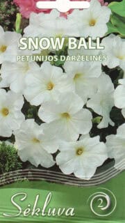 Petuunia "Snowball"