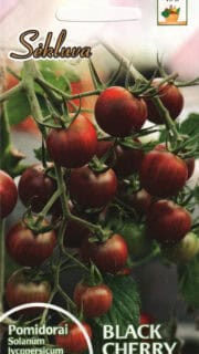 Tomat "Black Cherry" / "Must Kirss"