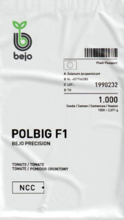 Tomat "Polbig"F1 1000 seemet