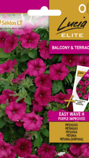 Ripp-petuunia "Easy Wave Purple" F1