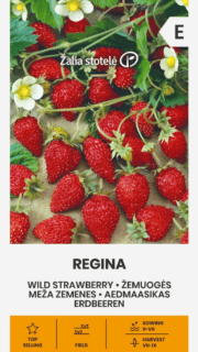 Kuumaasikas "Regina"