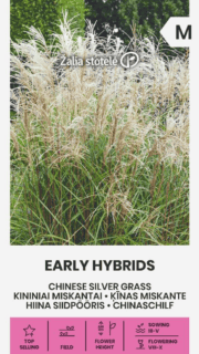 Hiina siidpööris  "Silver Grass Early Hybrids"
