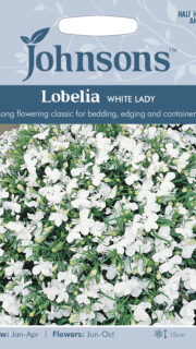 Lobeelia "White Lady"