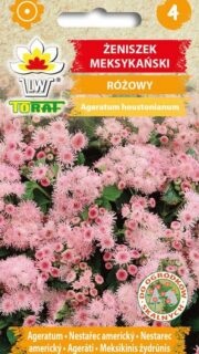 Mehhiko päsmaslill roosa