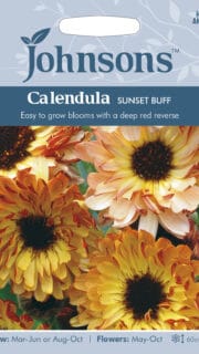 Saialill "Sunsett Buff"