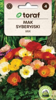 Siberi magun värvide segu