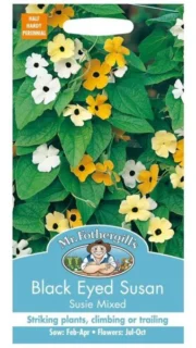 Tiivuline tunbergia  "Black Eyed Susan"