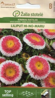 Aster "Liliput Hi-No-Maru"