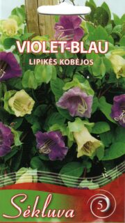 Mehhiko vanikkuljus segu "Violet Blau"