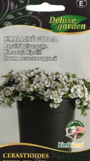 Lilletaimede seemned kodus kasvatamiseks - seemned.ee