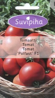 Tomat "Polfast" F1