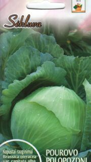 Peakapsas "Pourovo Polopozdni"