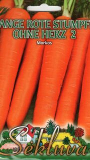 Porgand  "Lange Rote Stumpfe Ohne Herz 2"