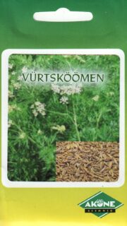 Harilik vürtsköömen