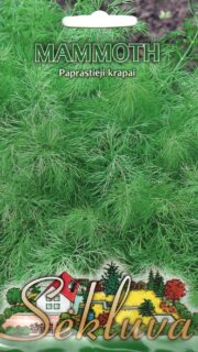 Aedtill "Mammoth"