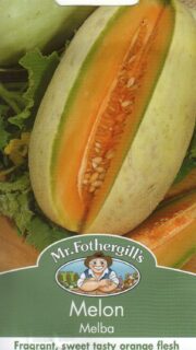 Melon "Melba"
