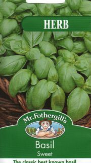 Basiilik "Sweet"