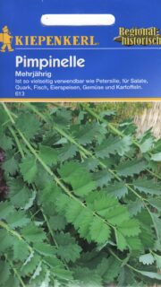 Harilik mustnupp "Pimpinelle"