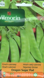 Suhkruhernes "Oregon Sugar Pod" / "Mangetout"