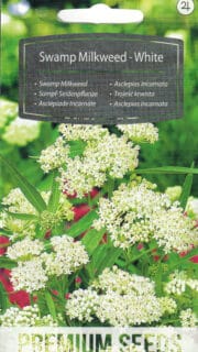 Kahkjaspunane askleepias "White"