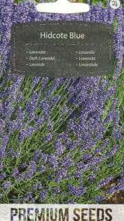 Tähklavendel "Hidcote Blue"