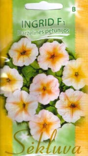 Petuunia "Ingrid" F1
